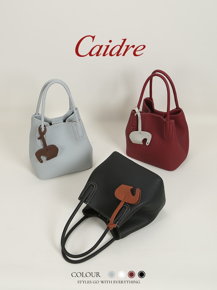 Caidre Luxury Tote Bag 2026 Ne - огляд і ціна Luxury Bags Korea